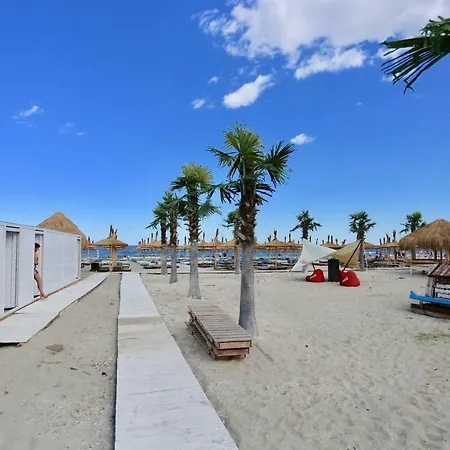 Selena Onix Blue Mamaia 2 *